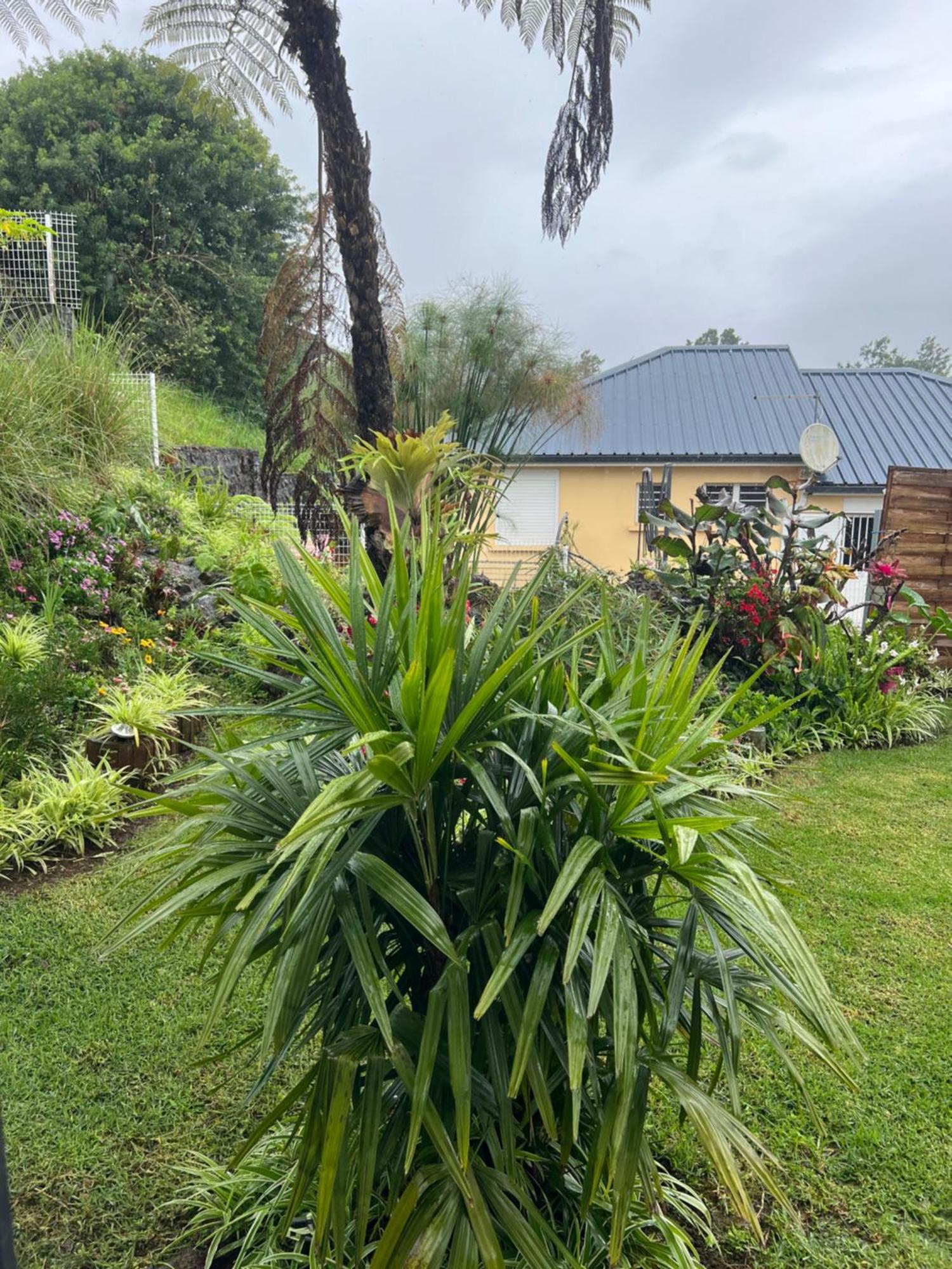 Villa, Lossy Le Tampon Exterior foto